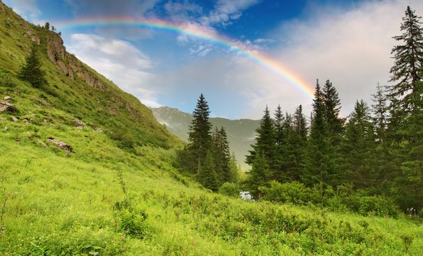 Arco-íris sobre floresta
 - Foto, Imagem