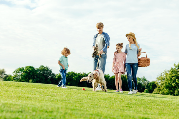 公園を歩いて犬と家族  - 写真・画像