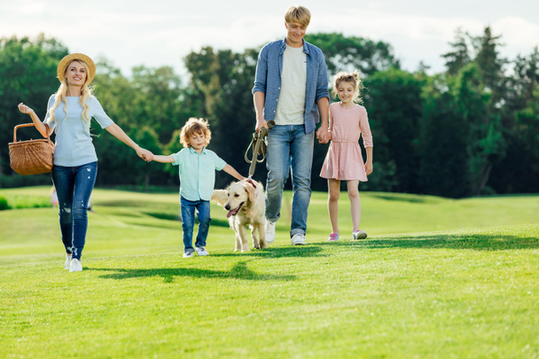 family with dog walking in park - Photo, Image