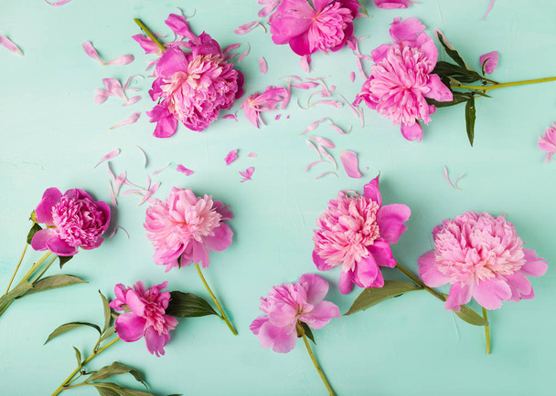 Pivoines roses sur turquoise
 - Photo, image