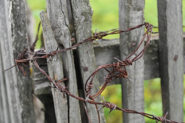 Ostnatý drát na dřevěný plot. Detail, letní zelené pozadí - Fotografie, Obrázek