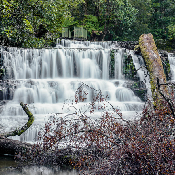 Liffey Falls en la región de Midlands, Tasmania
 - Foto, imagen