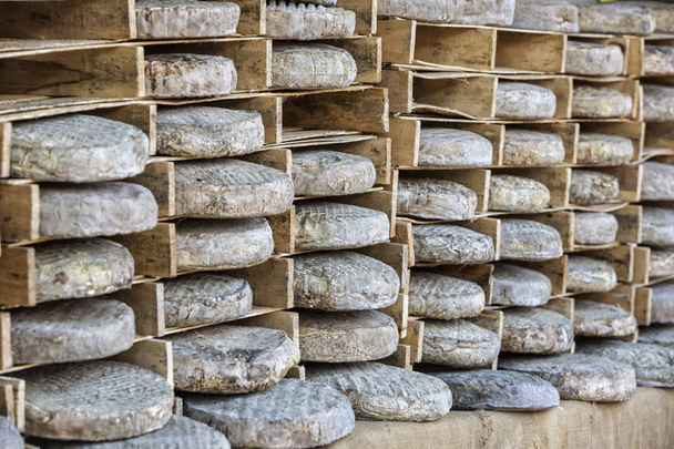 Rodas de queijo fresco em um mercado em França
 - Foto, Imagem