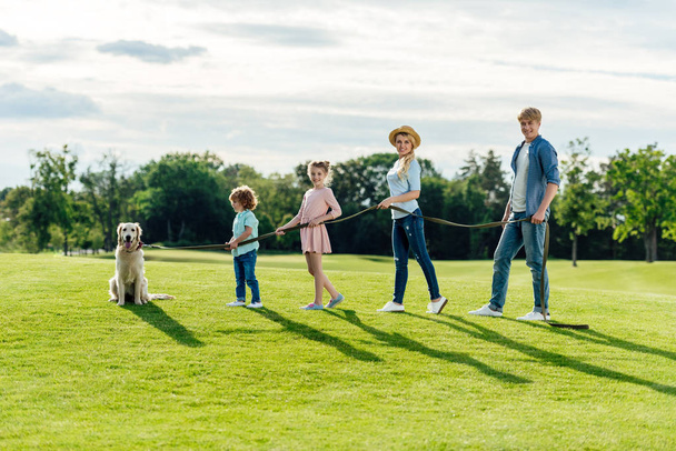 公園で歩いている犬と家族 - 写真・画像
