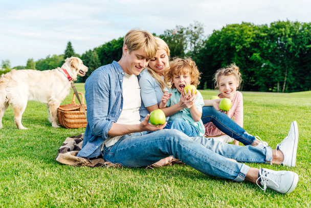 family eating apples at picnic - Фото, зображення