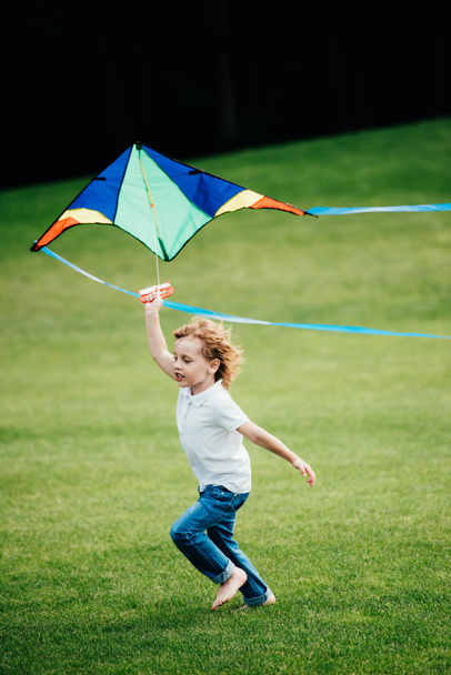 boy playing with kite at park - 写真・画像