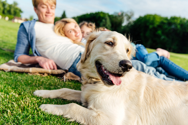 happy family with dog at park - Photo, Image