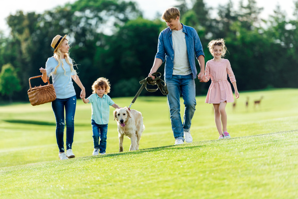 family with dog walking at park - Zdjęcie, obraz