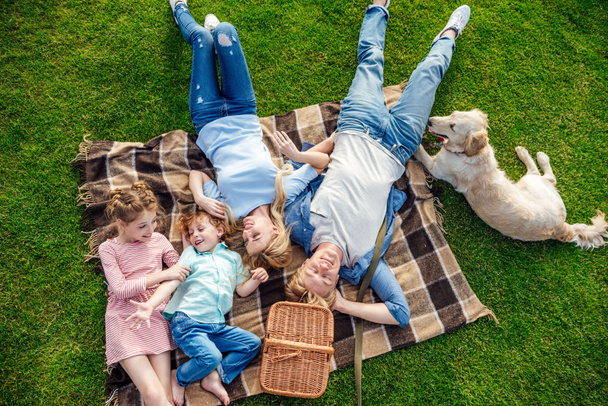 familie met hond op picnic - Foto, afbeelding