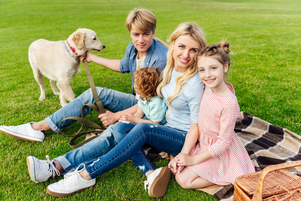 famille avec chien au pique-nique
 - Photo, image
