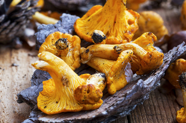 Свежесобранные, съедобные желтые грибы
 - Фото, изображение