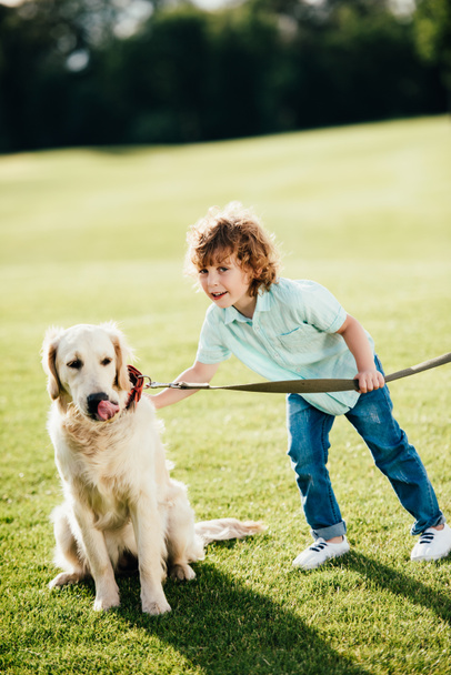 boy playing with dog at park - Foto, Bild