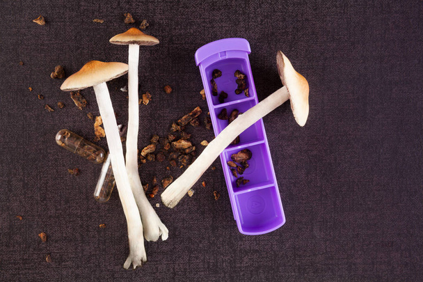 Psilocybine cogumelos mágicos
. - Foto, Imagem