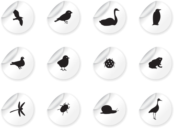 stickers met vogels en insecten - Vector, afbeelding