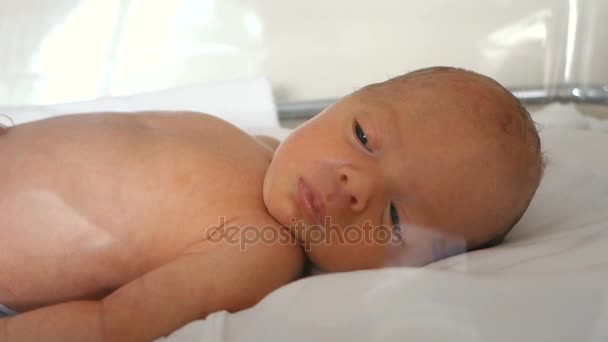 Een pasgeboren premature baby in een kunststof wieg ligt dichtbij - Video