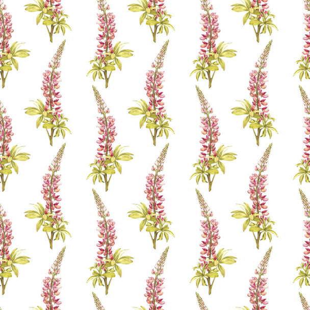 Illustration in watercolor of a Lupine flower. Floral card with flowers. Botanical illustration seamless pattern. - Фото, изображение