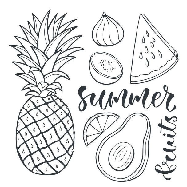 Vector pineapple and sliced fruits. - Vetor, Imagem