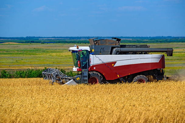 Ciągniki rolnicze pracy w polu pszenicy - Zdjęcie, obraz