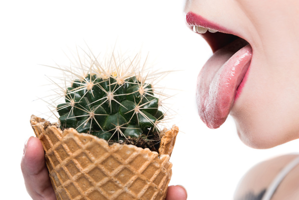 woman eating cactus - Photo, Image