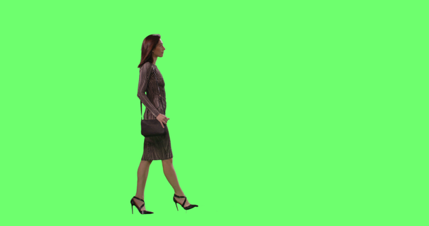 Glamorous Morena Feminino em um vestido apertado com uma pequena bolsa graciosamente andando em uma tela verde Mock-up no fundo
. - Filmagem, Vídeo