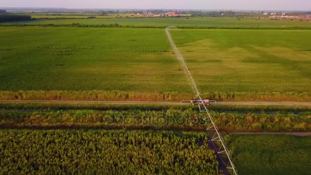 Egy mezőgazdasági sprinkler egy görögdinnye mezőben madártávlatból - Felvétel, videó
