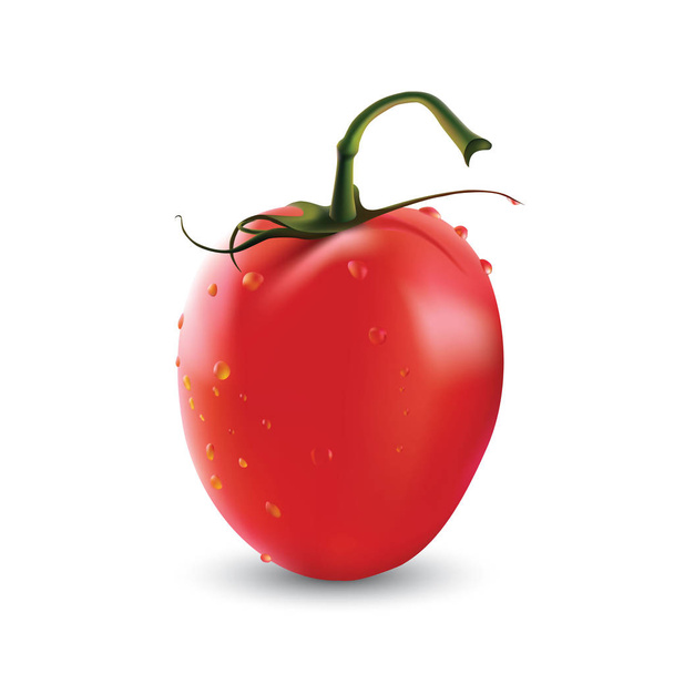 Photo-realistic cherry tomatoes on a branch - Vector, imagen