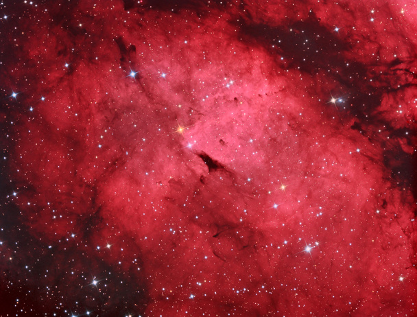 ic1318 gamma cygni mlhovina - Fotografie, Obrázek