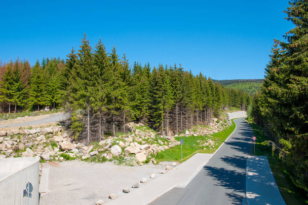 Road in National park Harz in Germany - Photo, Image