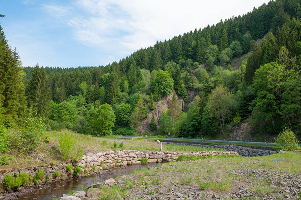 Innerste rivier in de bergen van de Harz in Duitsland - Foto, afbeelding