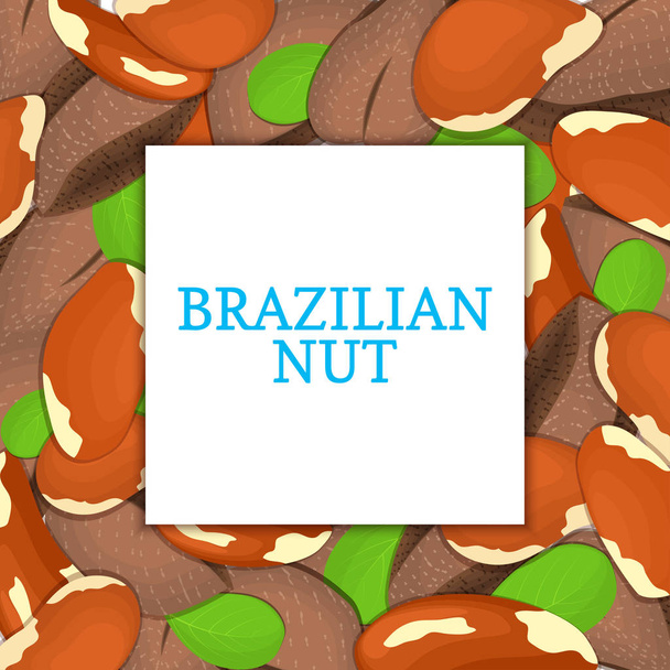Kare renkli çerçeve Brezilyalı somun oluşur. Vektör kartı çizim. Fındık, brazilnut meyve kabuğu, Bütün, kabuklu, yaprakları tasarım sağlıklı gıda ambalaj için seyir iştah açıcı - Vektör, Görsel