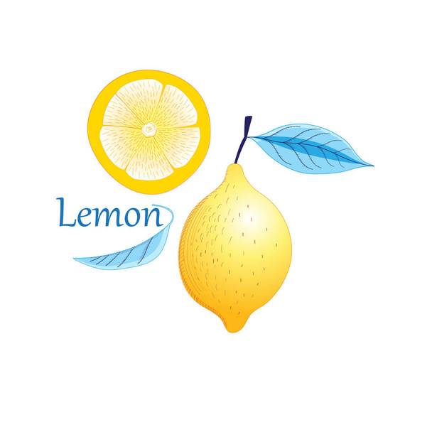 Vector fruta limón amarillo
 - Vector, Imagen