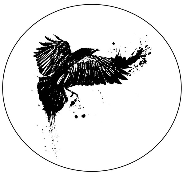 Flying bird raven sketch - Vector, Image