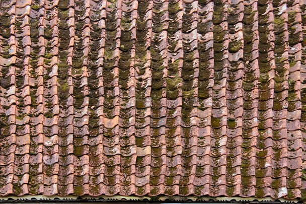 Vintage mohás cserép tető textúra - Fotó, kép