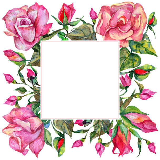Wildflower rosa bloem frame in een aquarel stijl. - Foto, afbeelding