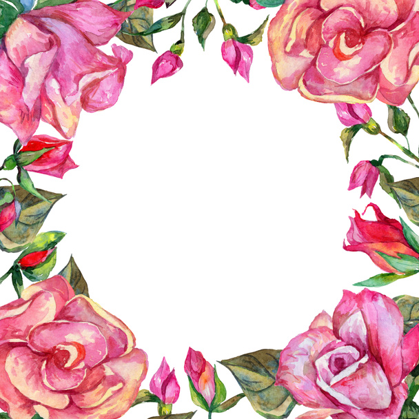 Wildflower rosa flower frame in a watercolor style. - Photo, Image
