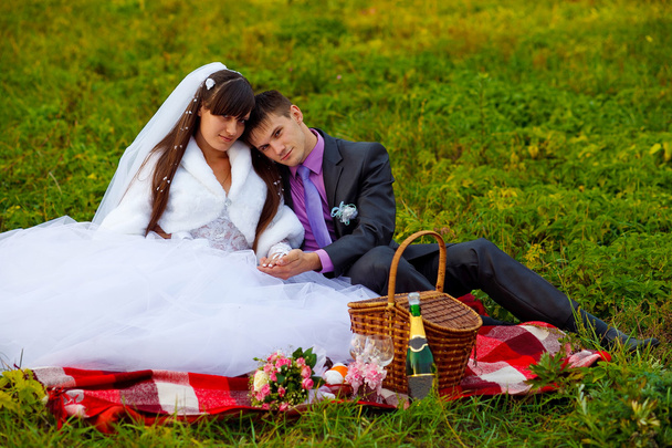 bride and groom wedding in green field sitting on picnic, drink - Photo, Image