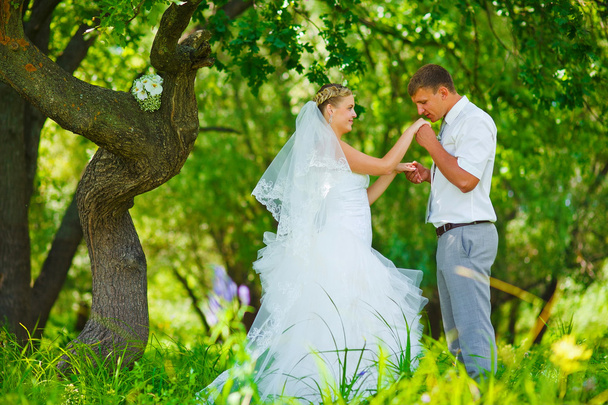наречений наречений цілує руку блондинки нареченої, молодята пара є
 - Фото, зображення