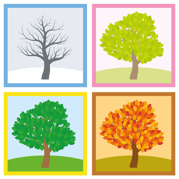 Tree Four Seasons Year Change - Vector, Image