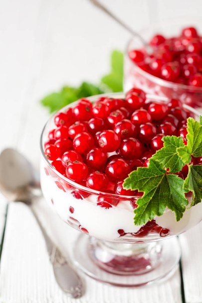 Yogurt dessert with red currant and decorated with leaves on white wooden background - Photo, image