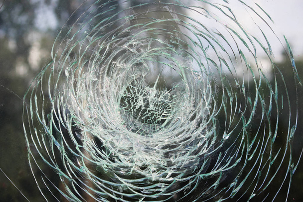 Vandali fracassato il vetro ad una fermata dell'autobus in città
 - Foto, immagini