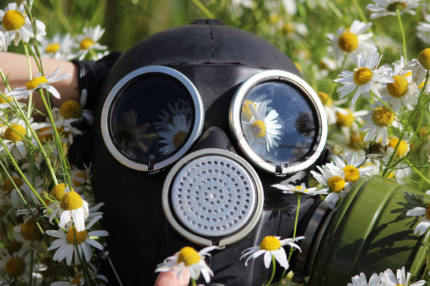 Uma máscara de gás repousa sobre camomilas. O conceito de desastre ambiental
 - Foto, Imagem