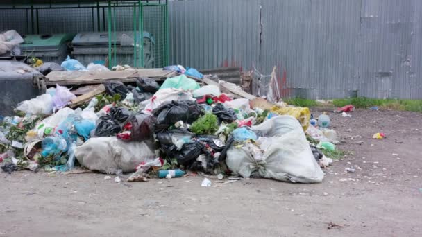 Montones de bolsas de basura en la ciudad
 - Metraje, vídeo