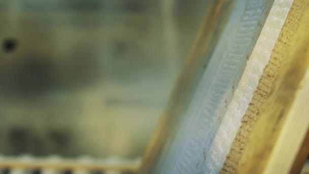 Ξύλινη παλέτα χρωματίζεται λευκό με αναρροφητήρας στο εργαστήριο - Πλάνα, βίντεο