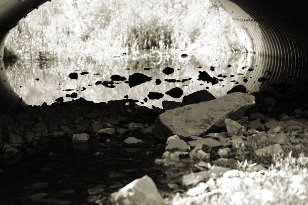 silta alikulkutie vedellä
 - Valokuva, kuva