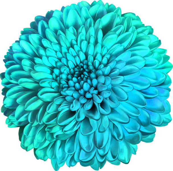 beautiful hrizantenium flower - Photo, Image