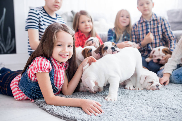 Sweet girl playing with bulldog puppies in the nursery - 写真・画像