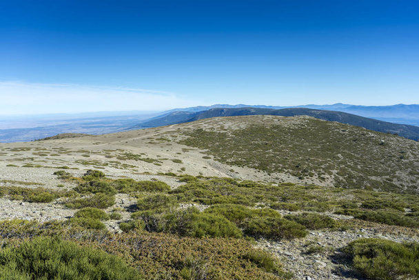 Gepolstertes Reisig im Guadarrama-Nationalpark - Foto, Bild