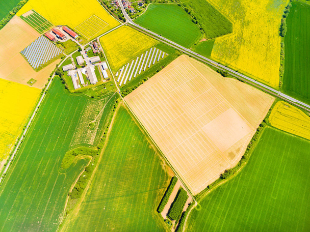 Vista aerea sui campi di grano verde e colza
  - Foto, immagini