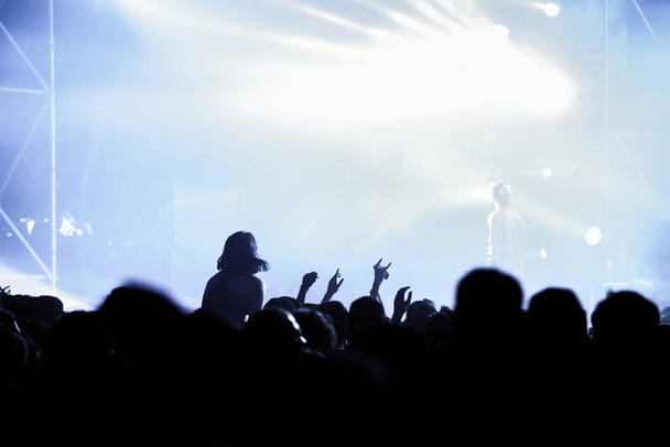 Partying crowd at a concert - 写真・画像