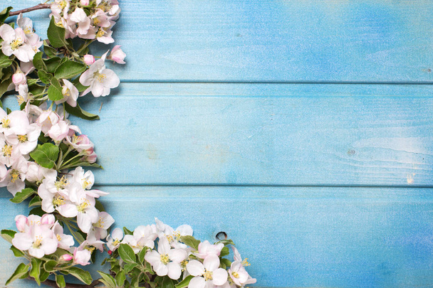 Frontera de las flores del manzano
 - Foto, imagen